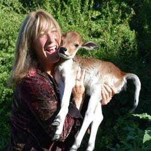 Aimees Farm Animal Sanctuary