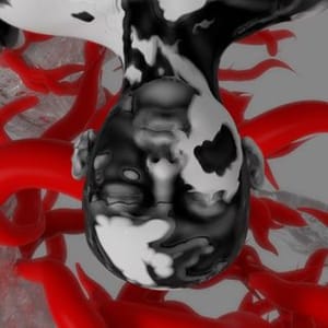 Renderfruit