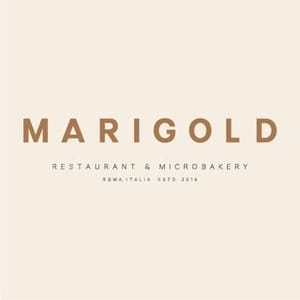 Marigold Roma