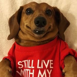 Dexter (dexty)