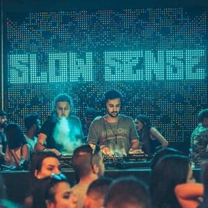 Slow Sense