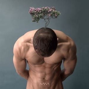 Alexander Anderson