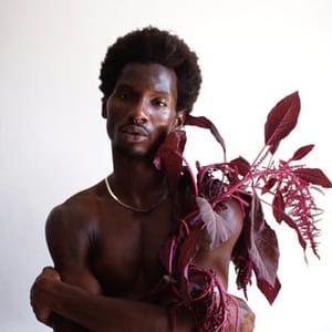 Adonis Bosso