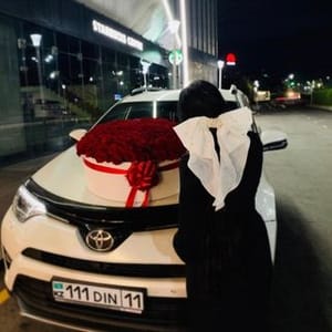 Alixan Dina Treliyzy