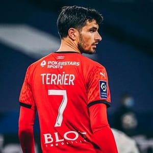 Martin Terrier