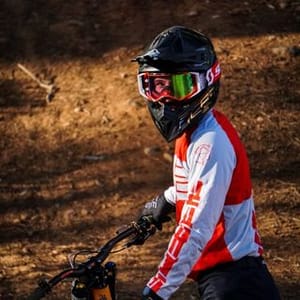 Davide Palazzari