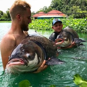 Gillhams Fishing Resorts