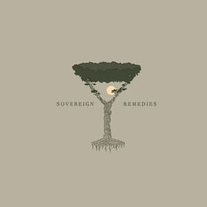 Sovereign Remedies