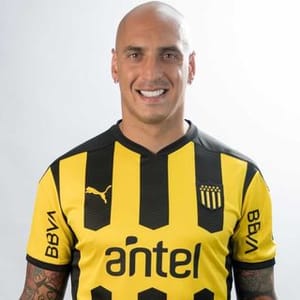 Ariel Nahuelpan