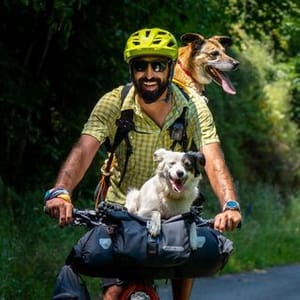 Bike Canine