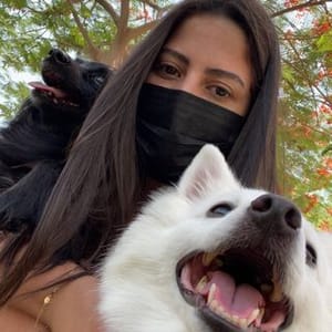 Areej Sleem