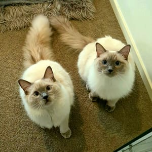 Luna &amp; Louis