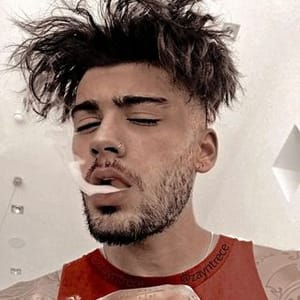 Zayn Trece