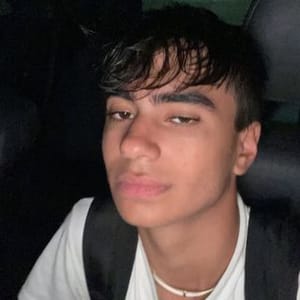 Neel Sethi