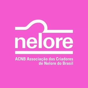 Nelore Do Brasil