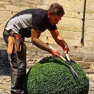 The Hedge Barber