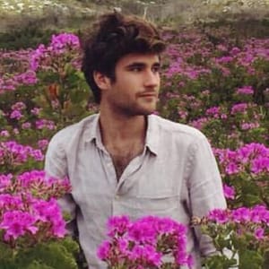 Alexander Hoyle