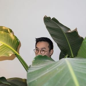 Dan Cui
