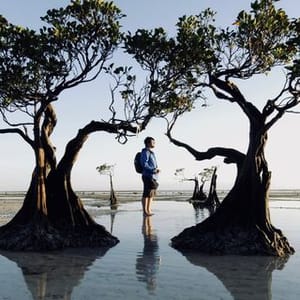 Felix Indrawan