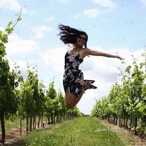 The Wine Wayfarer