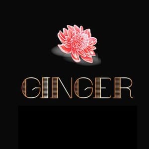 Ginger Sushipizzadrink
