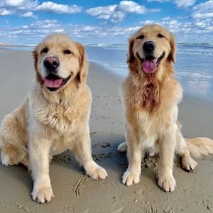 Eddie &amp; Boomer
