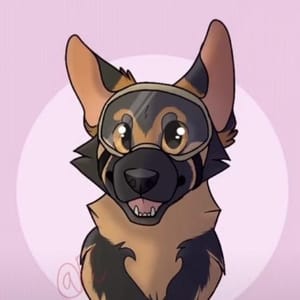 Echo The GSD