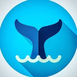 Ocean Footage