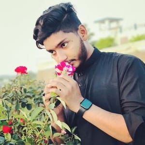 Mr Ahtisham Ali