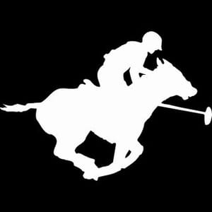 Polo Party