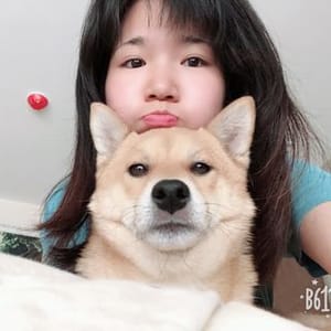 Streamer Singer