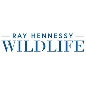 Ray Hennessy