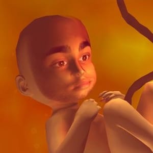 William Spetz