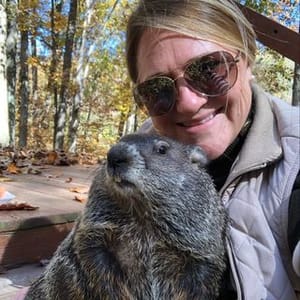 Stewie The Groundhog