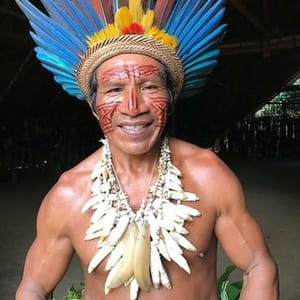 Cacique Pino