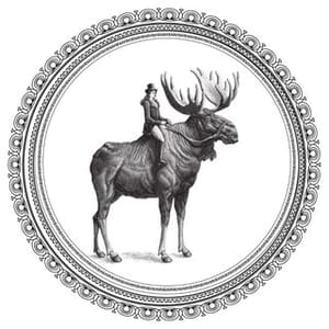 Archer Roose