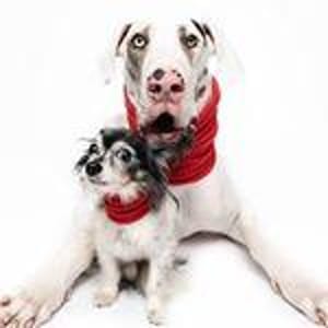 Charlie and Domino