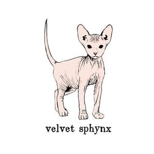 Velvet Sphynx