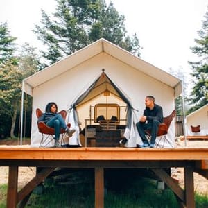 Mendocino Grove