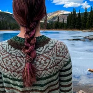 Ali O Yarn Dyer