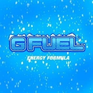 Fuel