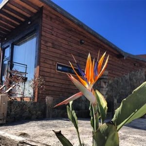 Palo Santo Pichilemu
