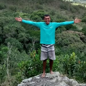 VAL PLANTAS E ABELHAS