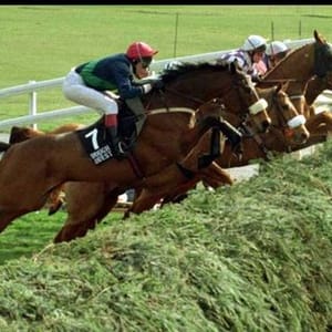 Mick Fitzgerald