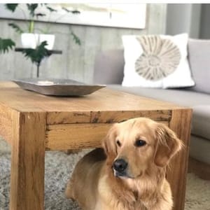Moss Muebles