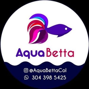 Aqua Betta