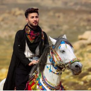 Baran Bari