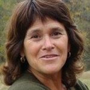 Gabi Crook