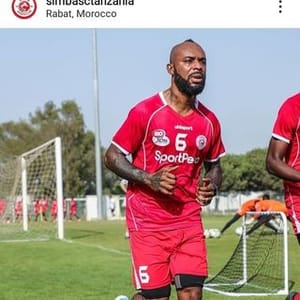 Tunaipenda Simba