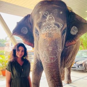 Pallavi Shetty